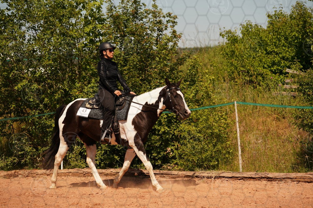 s_A9_03606.jpg